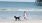 Lifestyle photo of woman walking her dog on a beach