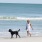 Lifestyle photo of woman walking her dog on a beach