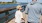 Lifestyle photo of father and son walking a pier to fish