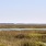Murrell Inlet waterway