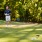 Lifestyle photo of friends golfing on a sunny day