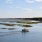 Murrell Inlet