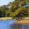 Lifestyle photo of lush golf course near The Lively Murrells Inlet