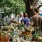 Murrells Inlet Community farmers and flower market